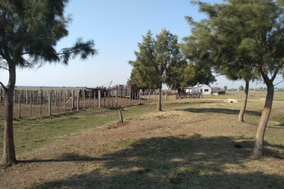 Muy buena ubicacion, a pocos mts de camino asfaltado, 100 kms de CABA